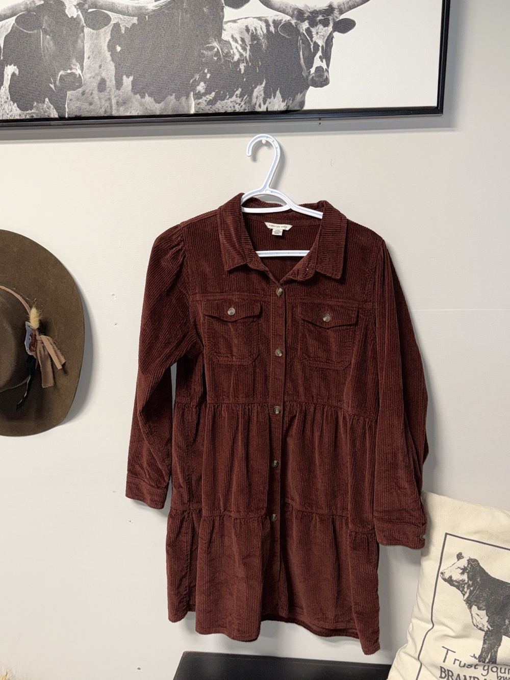American Eagle Outfitters Corduroy Long Sleeve Tiered Dress in Deep Brown